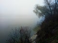 Misty morning with a river and trees