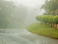Fog Follow Rain On Rainy Day Assignment files Royalty Free Stock Photo