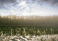 Fog in forest, backlight sun and trees reflected in river