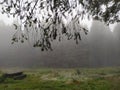 Fog in a forest picnic area - 3 Royalty Free Stock Photo