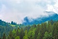 Fog in the forest, pine trees, mountains Royalty Free Stock Photo