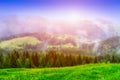 fog on forest of pines and meadows in the mountains, fabulous fantastic landscape Royalty Free Stock Photo
