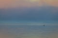 A lone cormorant floats along a calm lake as the morning fog lifts in early autumn at Silver Lake, Castile, NY