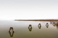 fog on a frozen lake with reed with wooden structures