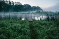 Fog, grass, trees against the backdrop of lakes and nature. Fishing background. Carp fishing. Misty morning. nature. Wild areas. Royalty Free Stock Photo