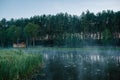 Fog, grass, trees against the backdrop of lakes and nature. Fishing background. Carp fishing. Misty morning. nature. Wild areas. Royalty Free Stock Photo