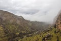 Fog in the green mountains