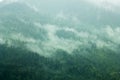 A fog in the green slope mountains