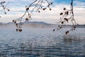 Fog growing on quiet lake waters landscape in Banyoles, Catalonia