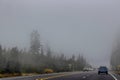 Fog hangs over the McKenzie Pass Highway in Oregon, USA