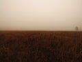 Fog and a haystack Royalty Free Stock Photo