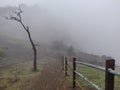 Fog on hill station alone tree nature beautiful trek wall railing compound valley