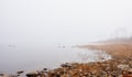 Fog on horizon, rising off the Ottawa River - Foggy Ottawa River shoreline