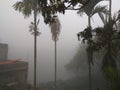 Fog at India Royalty Free Stock Photo