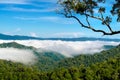 The fog at Khao Phanoen Thung, Kaeng Krachan National Park in Th Royalty Free Stock Photo