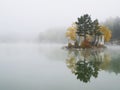 Fog on Lake