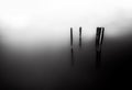 Fog Lake (Black & White) Royalty Free Stock Photo