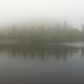 Fog lake forrest Royalty Free Stock Photo
