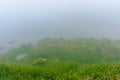 fog on the lake. grassy shore with rocks