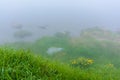 fog on the lake. grassy shore with rocks.