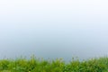 Fog on the lake. grassy shore with rocks.