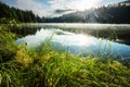 Fog on the lake Royalty Free Stock Photo