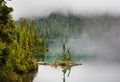 Fog on the lake Royalty Free Stock Photo