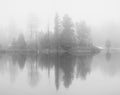 Fog on the lake, reflected in the water of the trees, soft light, black and white Royalty Free Stock Photo