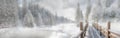 Fog on Lake Vita, winter Carpathians, Mizhhiria, western Ukraine Royalty Free Stock Photo