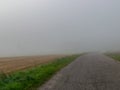 Fog landscape, fuzzy outlines, the sun is shining through the mist, tree silhouette, fuzzy contours of the road