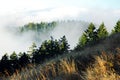 Fog lingers in valley Royalty Free Stock Photo