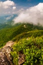 Fog and low clouds over the Blue Ridge Mountains, in Shenandoah National Park Royalty Free Stock Photo