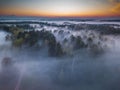 Fog and mist covering the forest in Lithuania