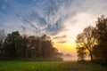 fog, mist, haze, smoke, brume, toman. Fog in autumn oak forest Royalty Free Stock Photo