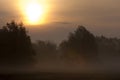 fog, mist, haze, smoke, brume, toman. Fog in autumn oak forest Royalty Free Stock Photo