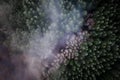 Fog and mist over Oregon forest in winter, birdseye view