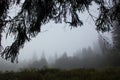 Fog in the morning in Carpathians in auturmn