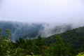 Fog in the Morning in the Great Smoky Mountains, Tenessee