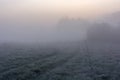 The fog in the morning over the field Royalty Free Stock Photo