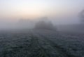 The fog in the morning over the field Royalty Free Stock Photo