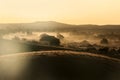 Fog in sahara desert at sunrise Royalty Free Stock Photo