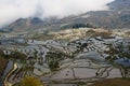 Fog in the morning in Yuanyang rice terraces in Yunnan