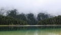 Fog in the mountain forest near the Black Lake