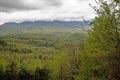 Fog on the mountain and green leaves in the valley of the Smoky Mountains. Royalty Free Stock Photo