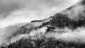 Fog covering the mountain forests with low cloud in Juneau alaska for fog landscape