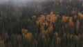 Fog moving and rolling over beautiful golden autumn forest timelapse 4K