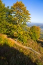 Fog over the cable car, beautiful views in the autumn of Pilipets-Ukraine Royalty Free Stock Photo