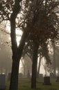 Fog Over Cemetery Headstones in the Morning Light