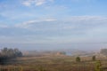 Fog over the forest early in the morning Royalty Free Stock Photo