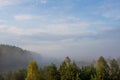 Fog over the forest early in the morning Royalty Free Stock Photo